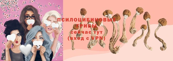 марихуана Абаза
