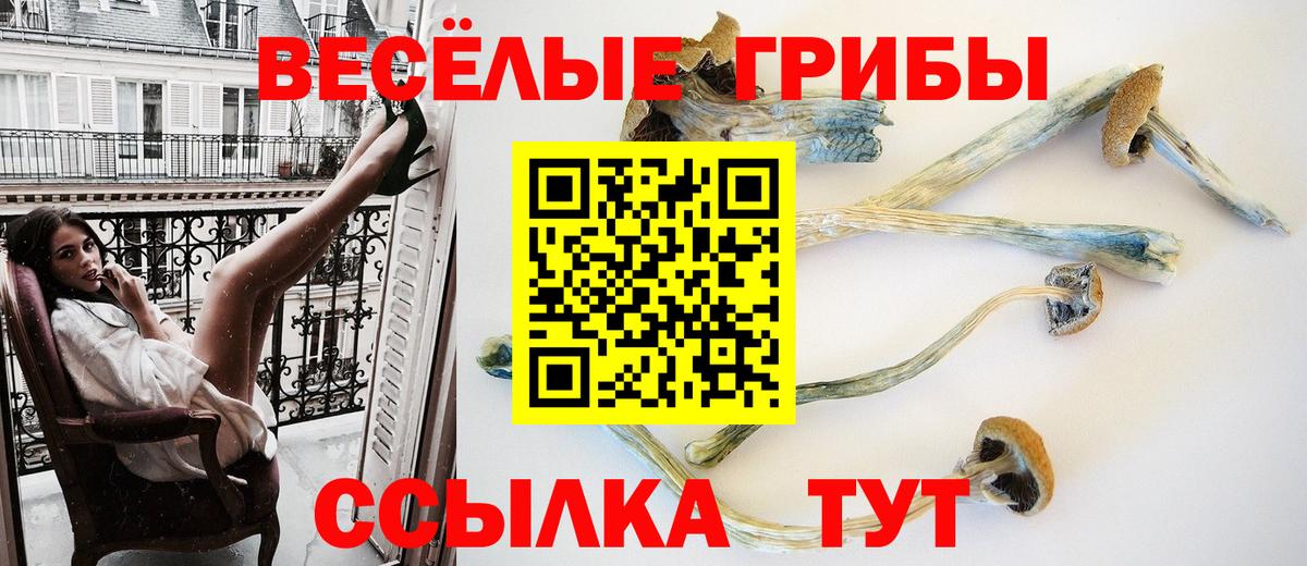 Псилоцибиновые грибы Cubensis Ирбит