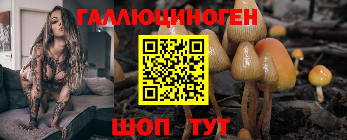 купить наркотики цена  Псилоцибиновые грибы мицелий  Вход с VPN  Псилоцибиновые грибы Psilocybe  Ирбит 